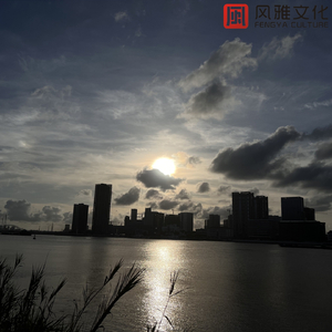 大鸡巴操美女的视频
